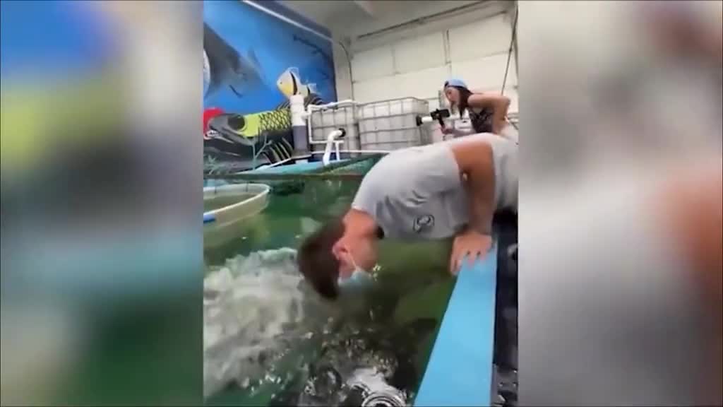 在家不知道吃什么时来上一盆酸菜鱼就对了鱼肉鲜嫩爽滑一口下去真的太爽了