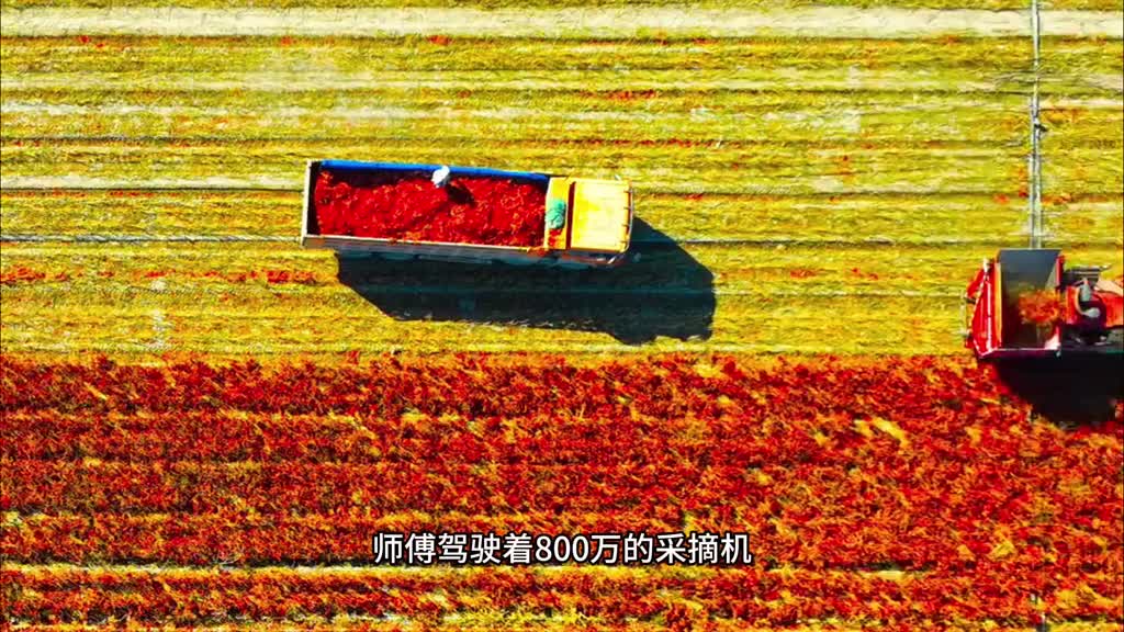 可以放心吃的鲜椒牛肉酱不加糖不加油不管是拌面拌饭拌菜都非常好吃