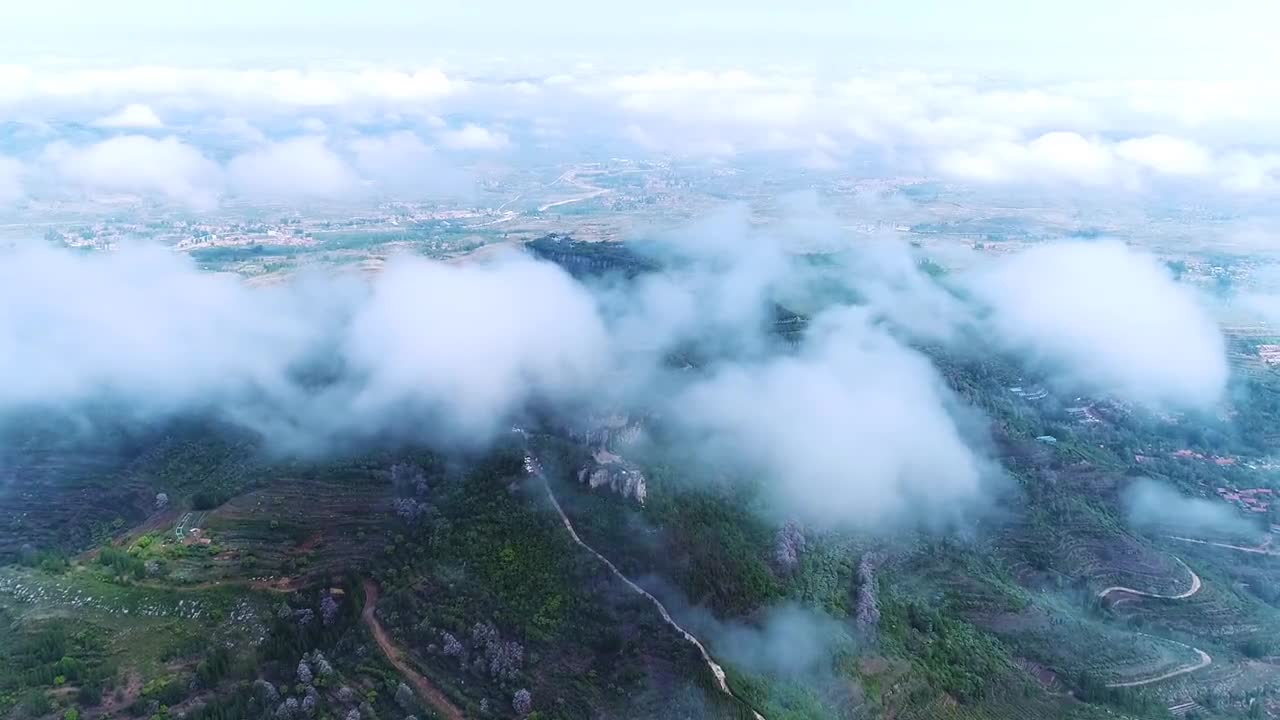 实现赏春自由把天上王城的春光通通献给你