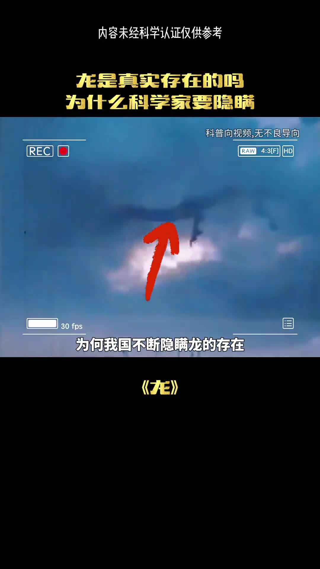 龙会是真的存在吗