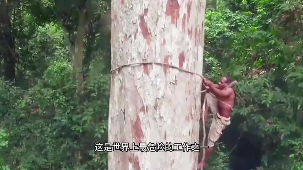 我国大部分人都没吃过但欧美男人却超喜欢吃它原来是因为它有这好处