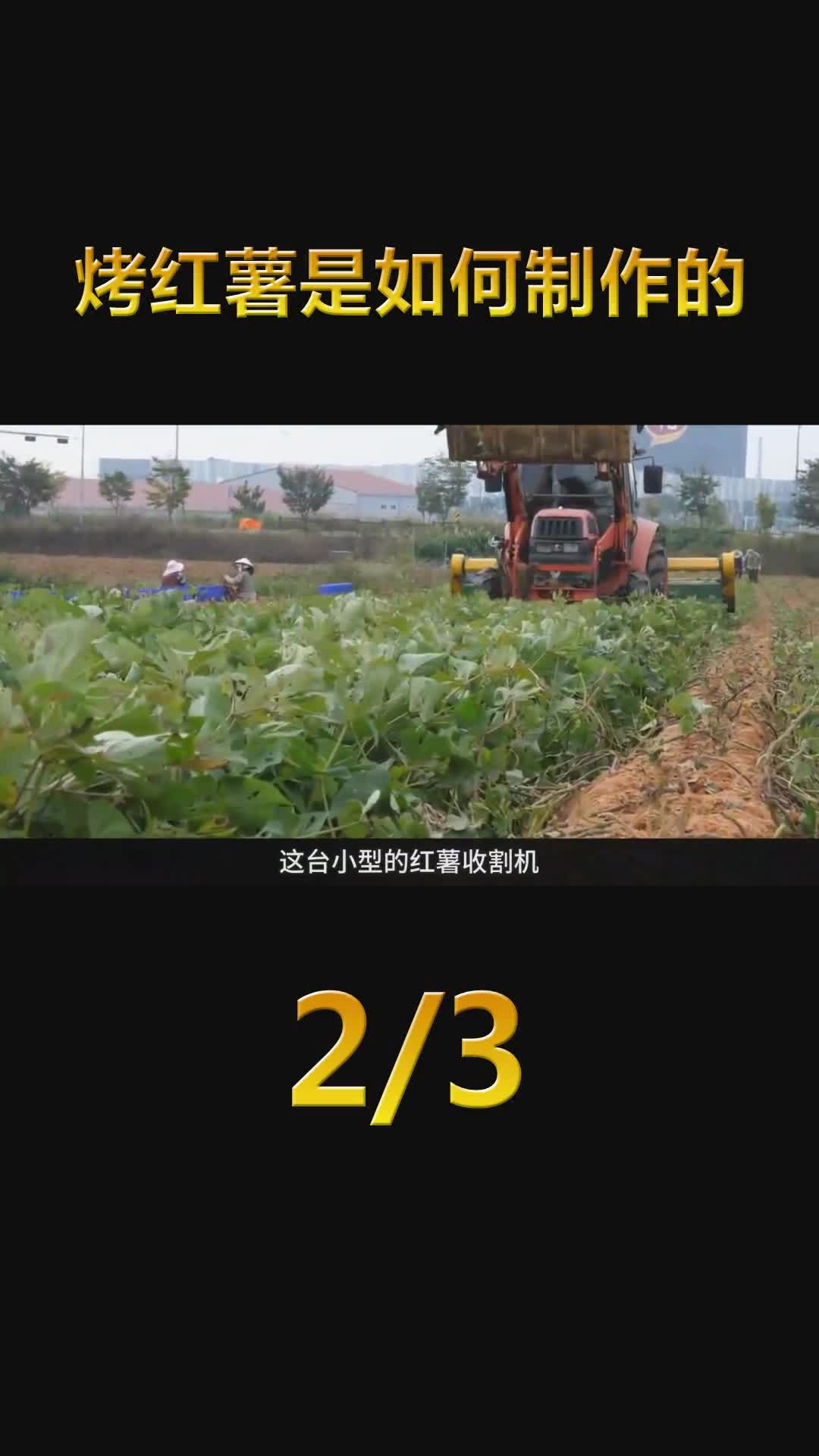 这样做出来的冷冻烤红薯好吃吗