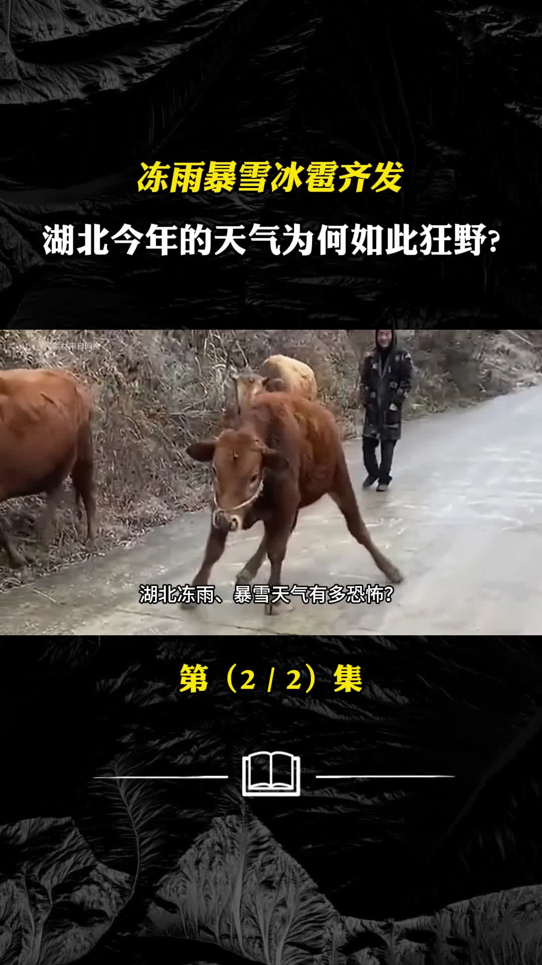 冻雨暴雪冰雹齐发湖北今年的天气为何如此狂野影响有多恶劣