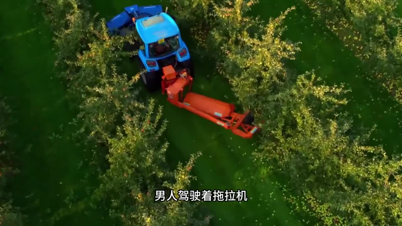 苹果干是如何制作出来的口感软糯营养好吃