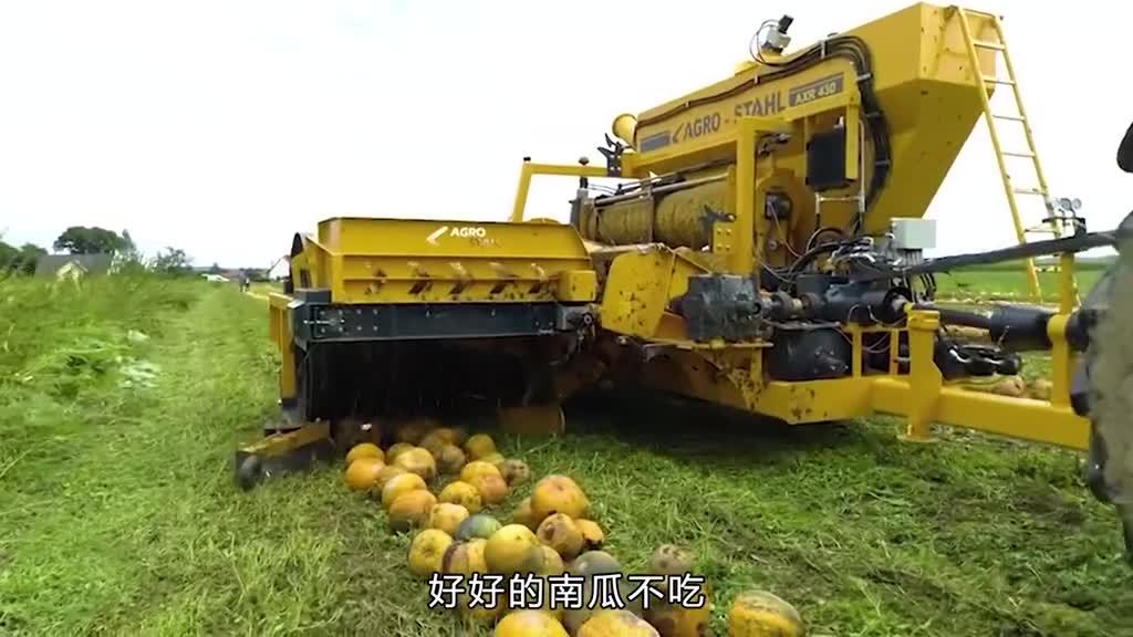 每日坚果是如何生产出来的