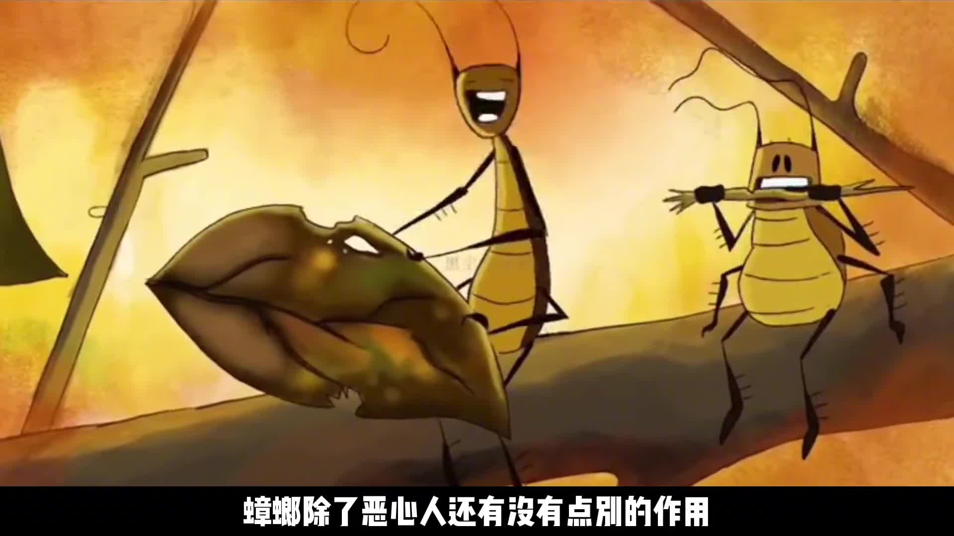 蟑螂这可是个好东西作用太大了
