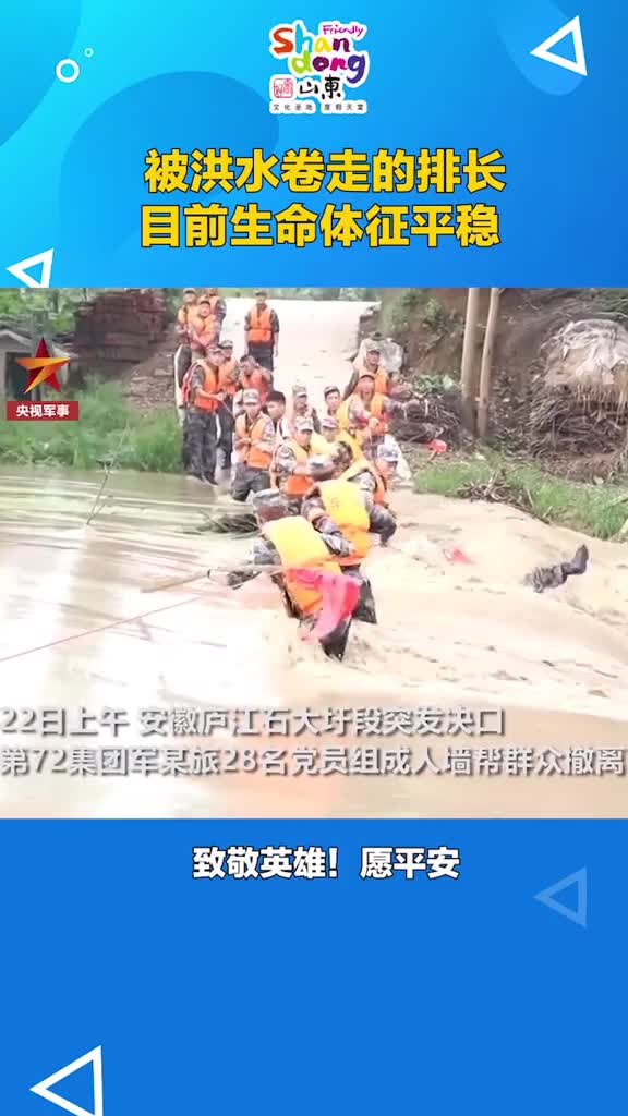 一定要平安啊致敬英雄抖音小助手