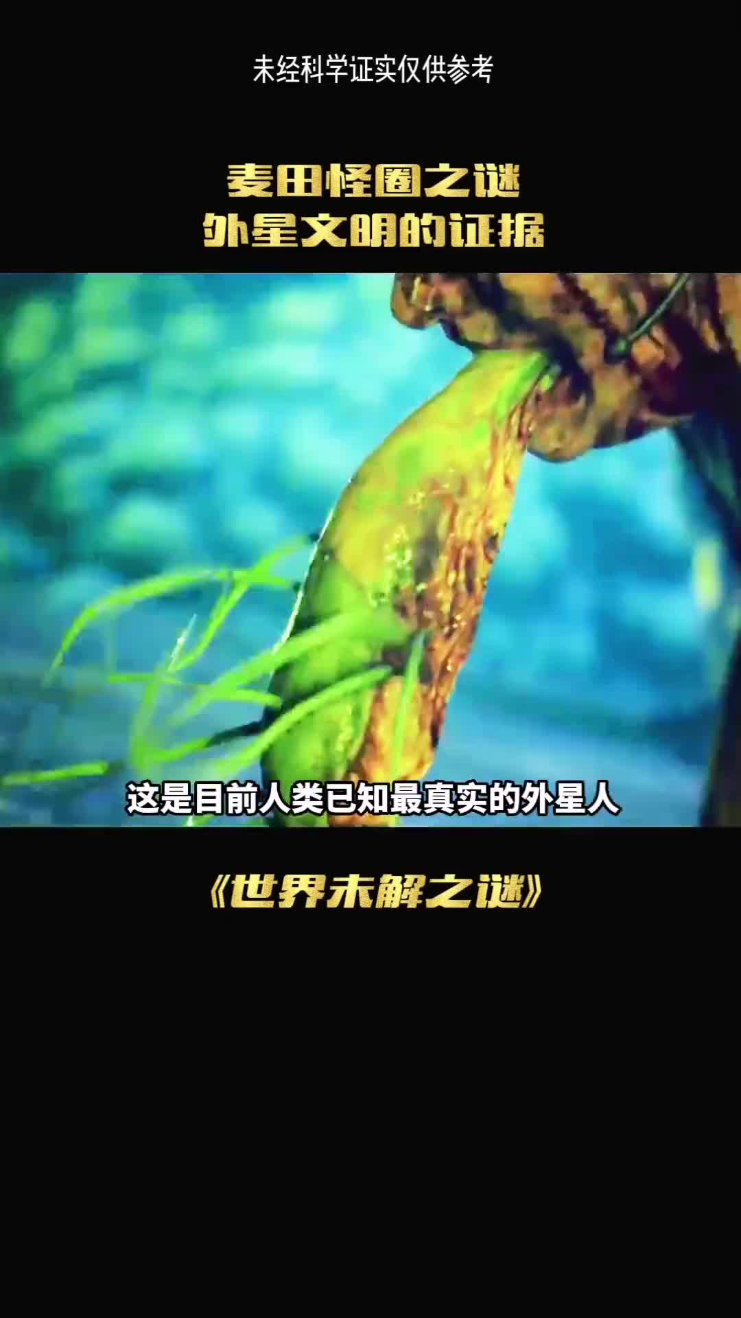 这是人类已知麦田怪圈最真实的真相