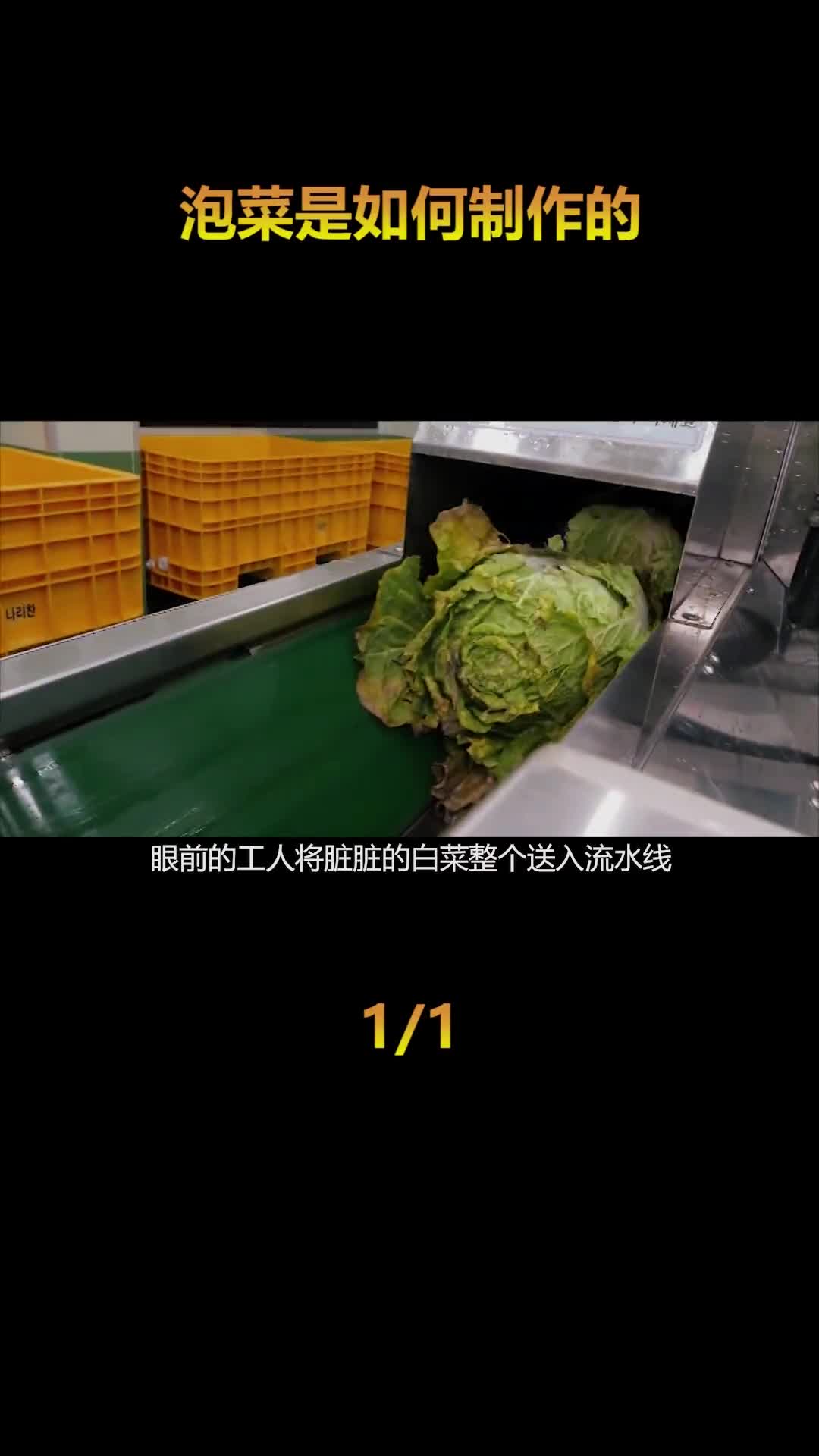 泡菜是如何制作的