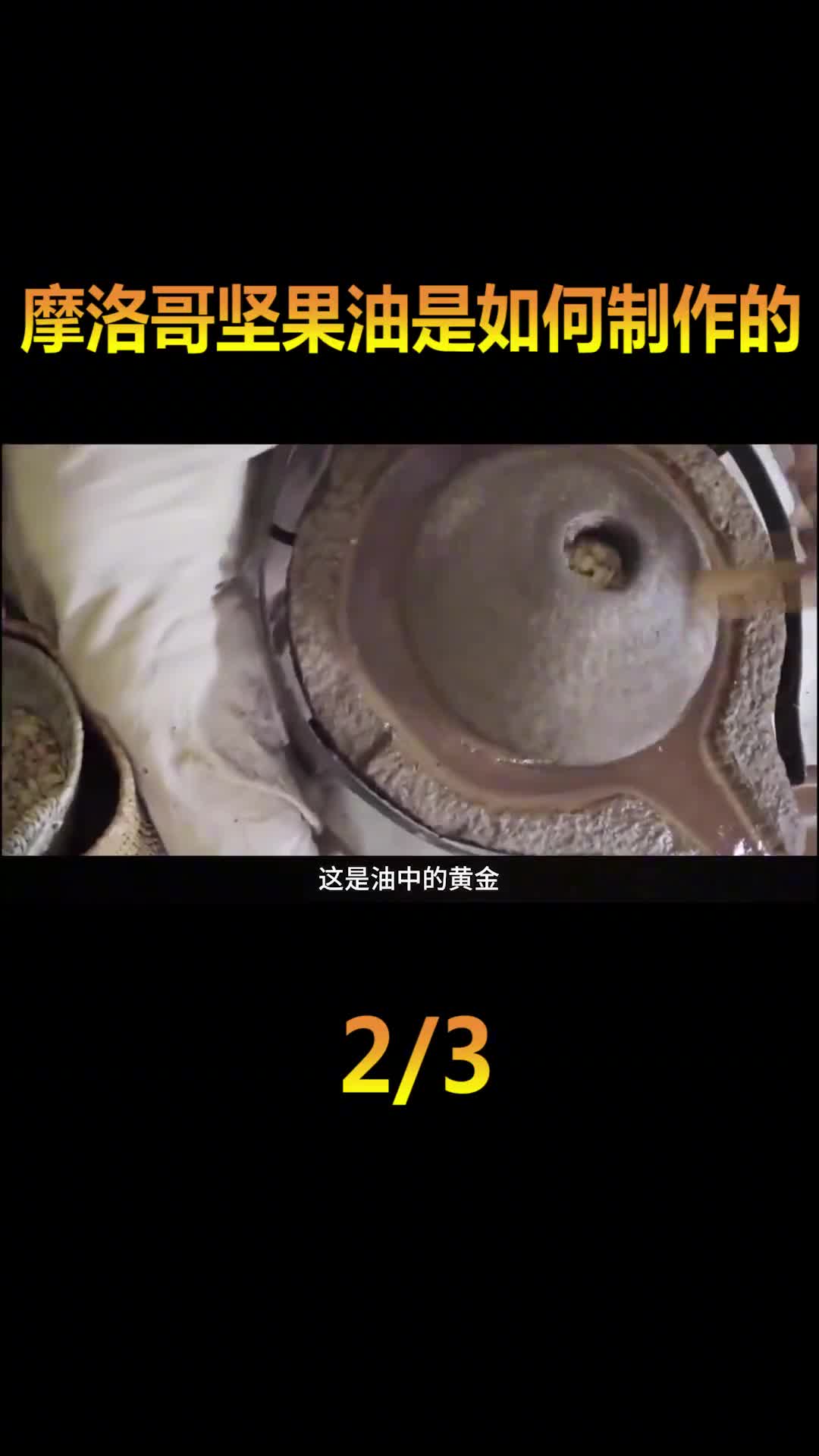 世界最贵的油之一摩洛哥坚果油是如何制作的