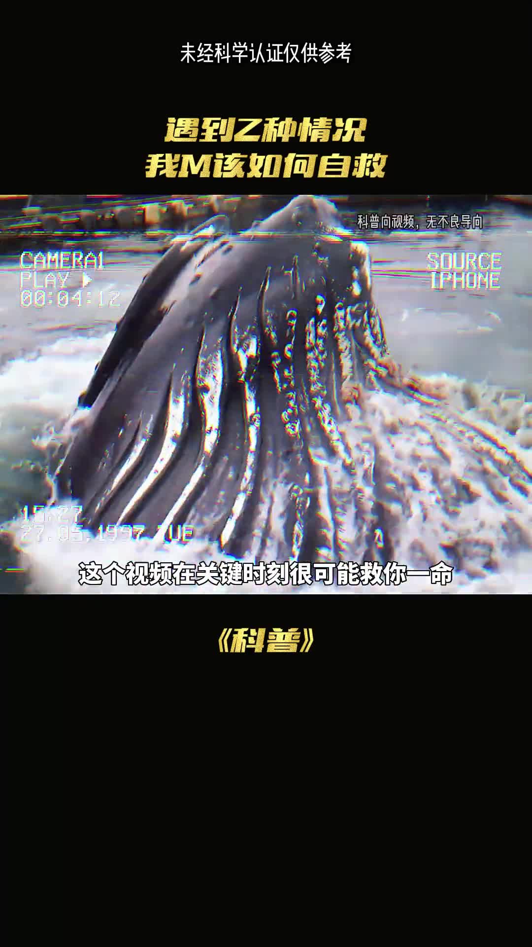 如果被鲸鱼吞下人们该如何自救