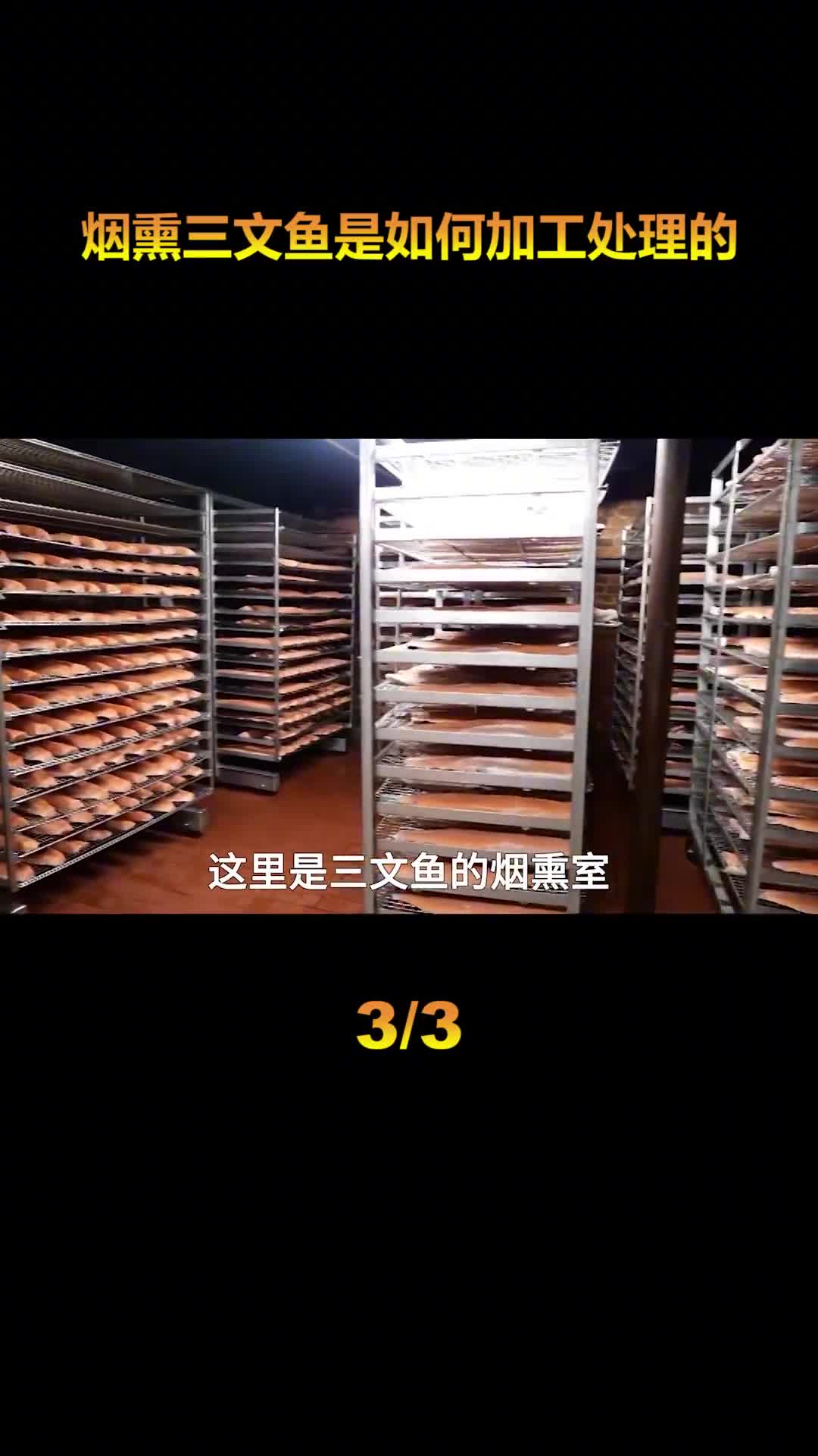 世界上最大的烟熏三文鱼工厂每天能向市场输送100吨的优质三文鱼