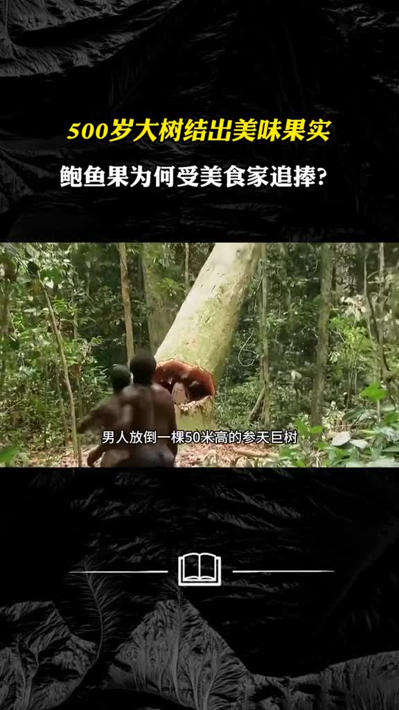 鲍鱼果为何这么贵看完的生长环境就知道了