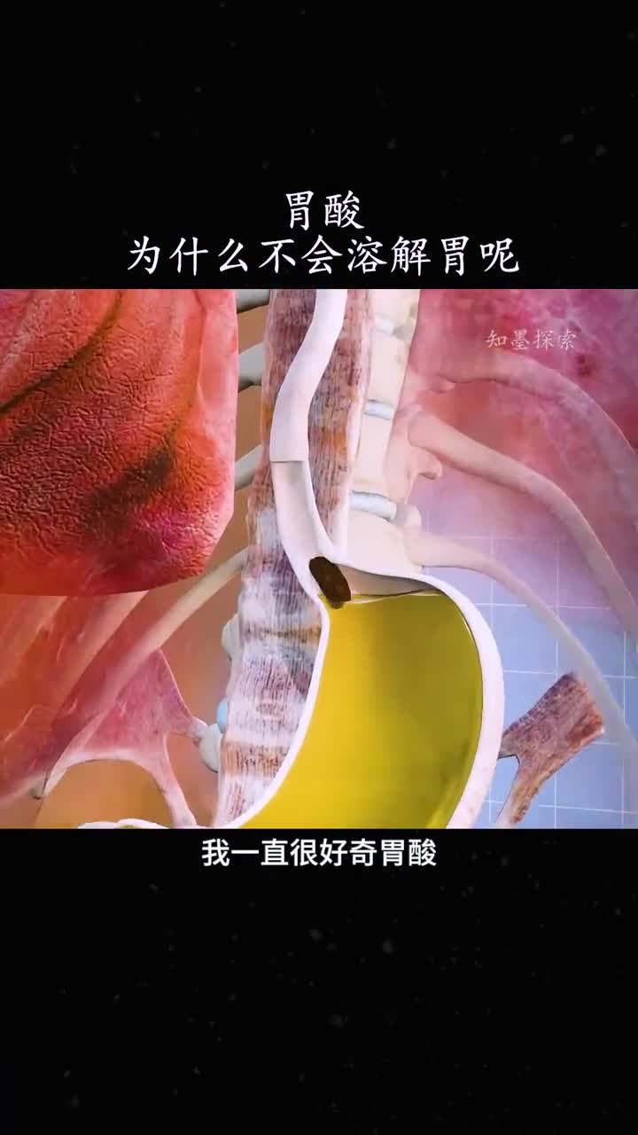 胃酸为什么不会把胃溶解掉呢