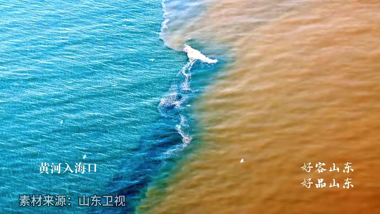 11月10日至12日好客山东好品山东2023北京推介活动华美绽放北京展览馆让我们相约北京品味齐鲁共创未来