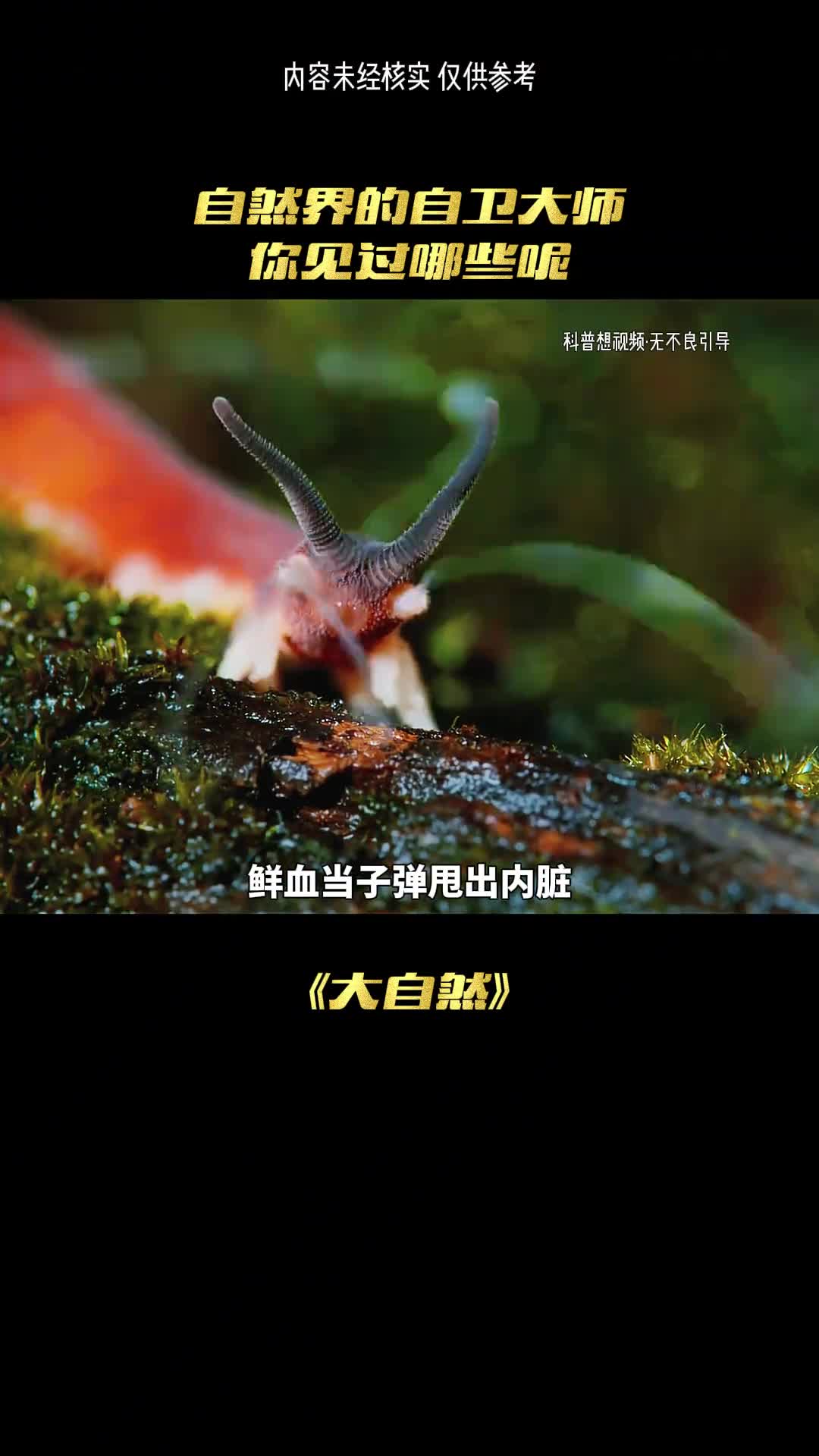 这世界世界最神奇的动物