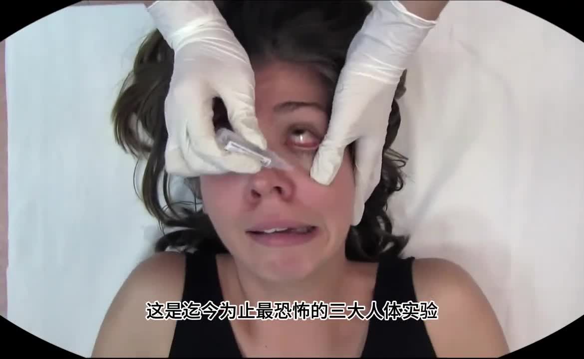 让人无法理解的实验为何还在继续