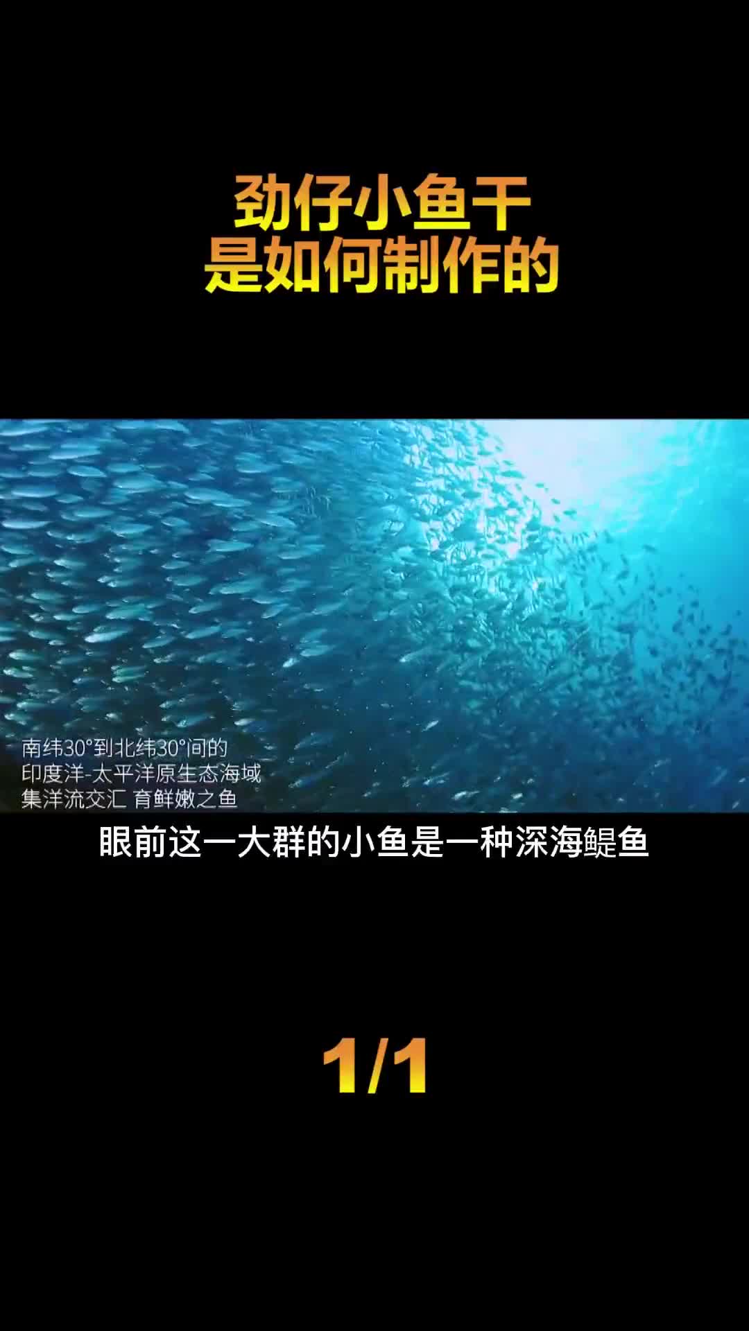 小鱼干是如何制作的