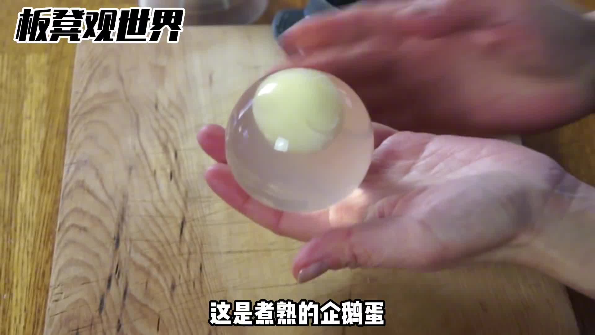 企鹅蛋是透明的怎么回事