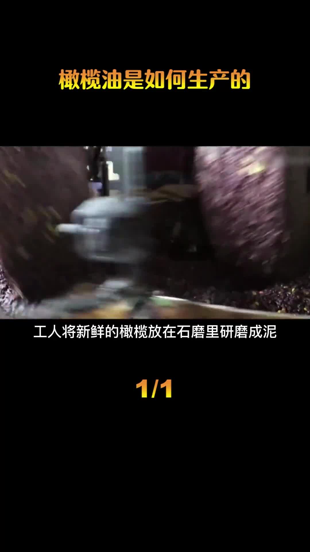 橄榄油是如何制作的