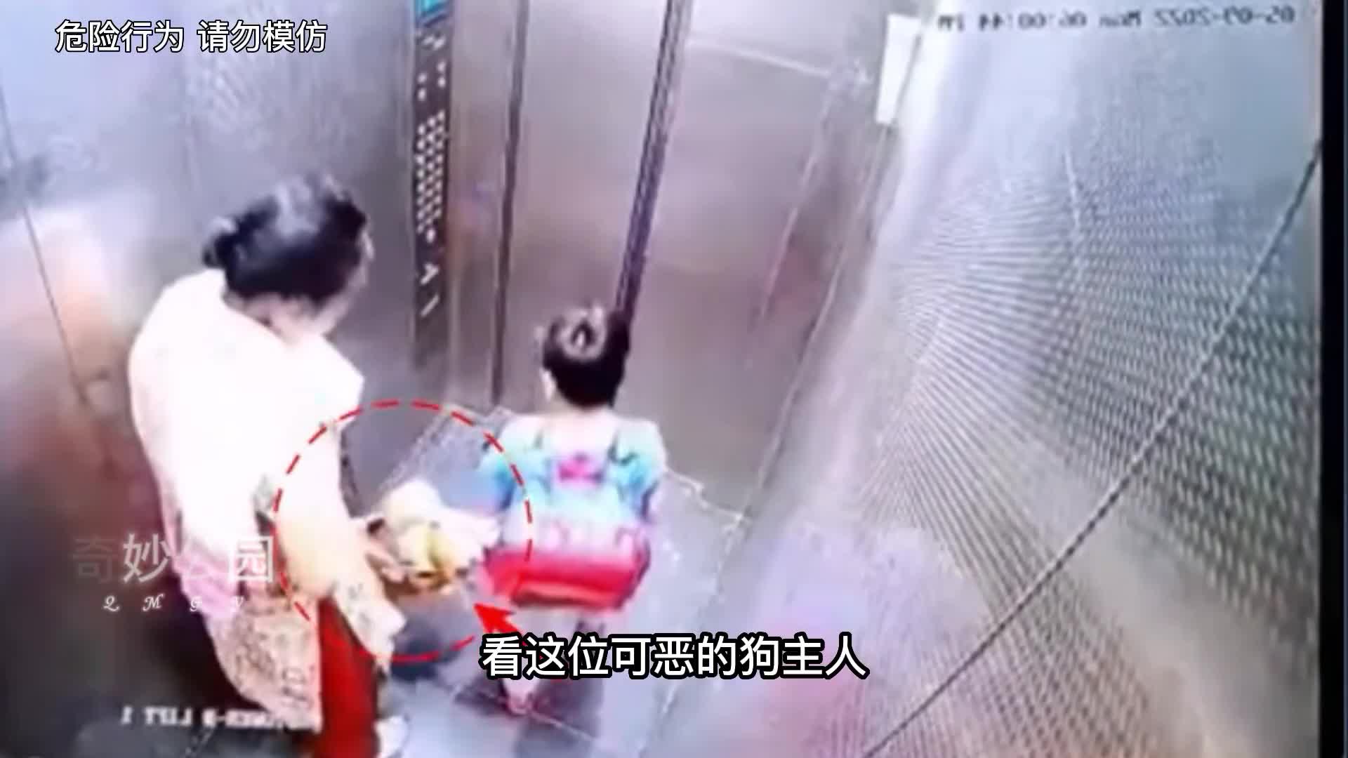 狗狗不系绳有多危险实拍恐怖一幕狗为何会针对孩子咬第1集