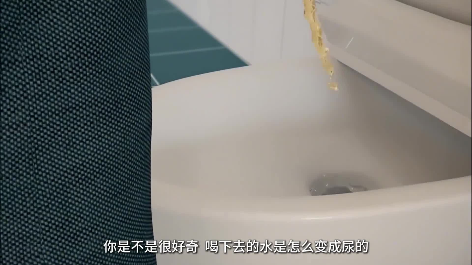 喝下去的水是如何变成尿的带你看人体工作原理