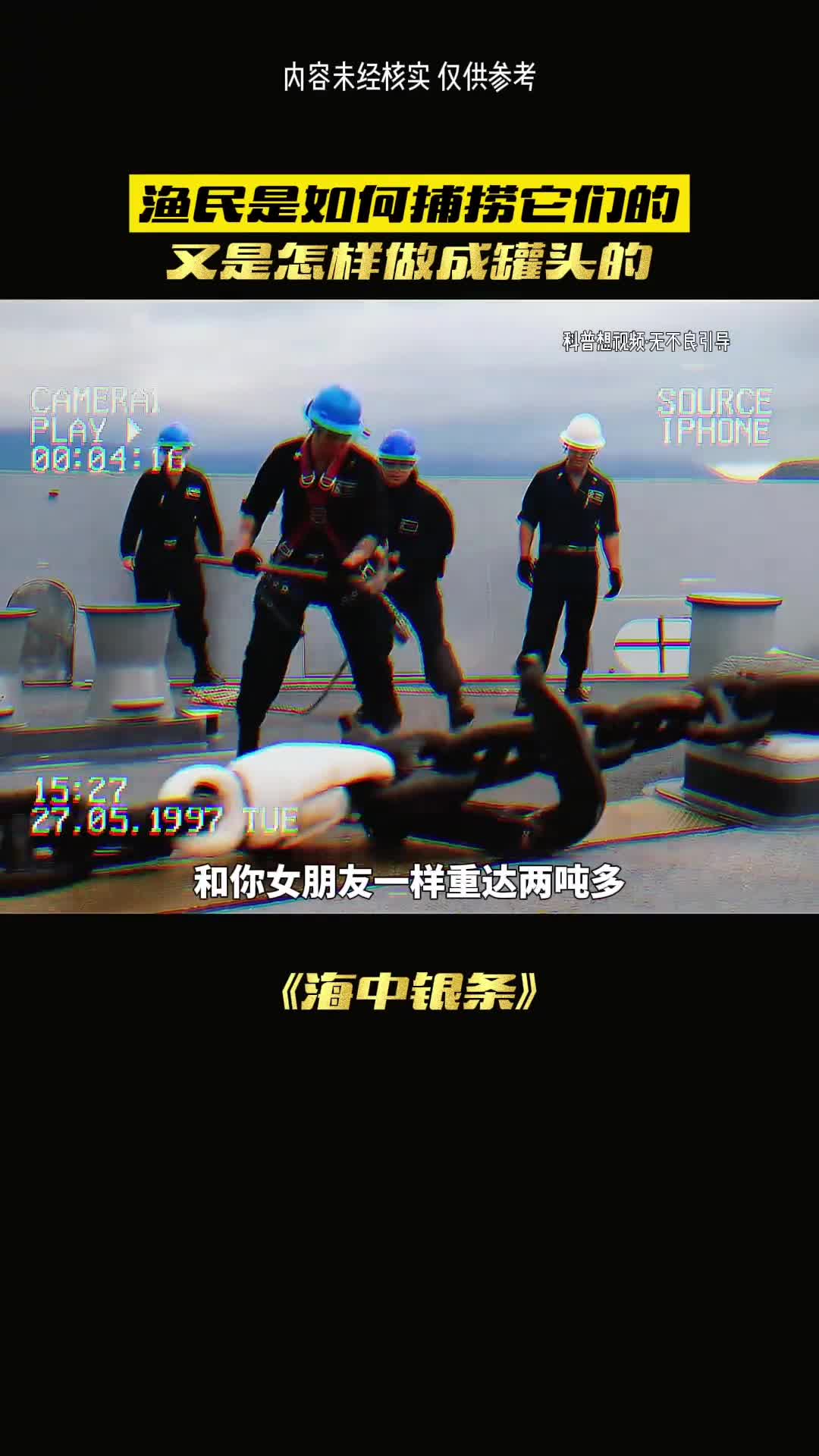 你见过活着带鱼吗