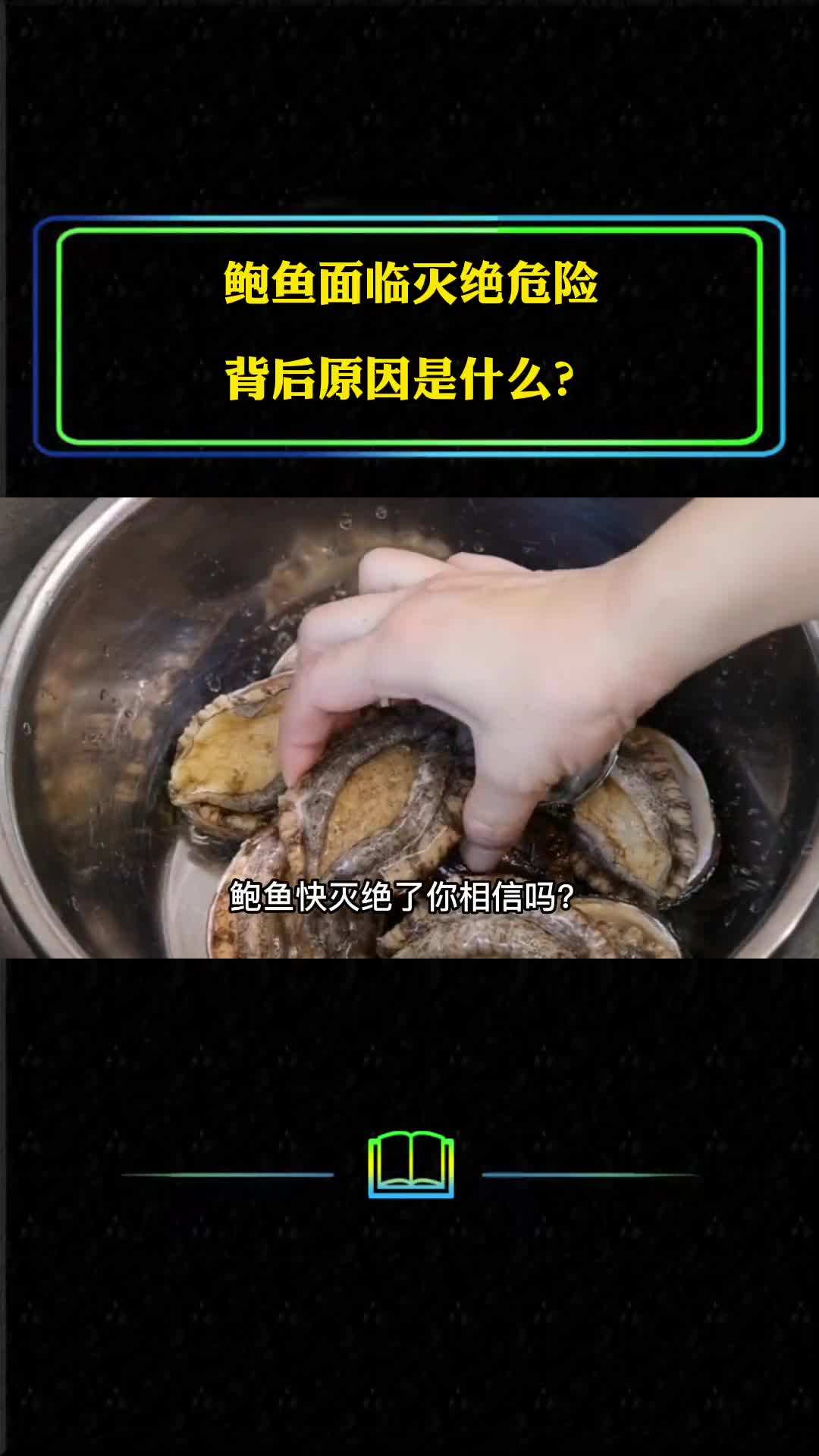 鲍鱼面临灭绝危险背后原因是什么我们或正在经历环境巨变