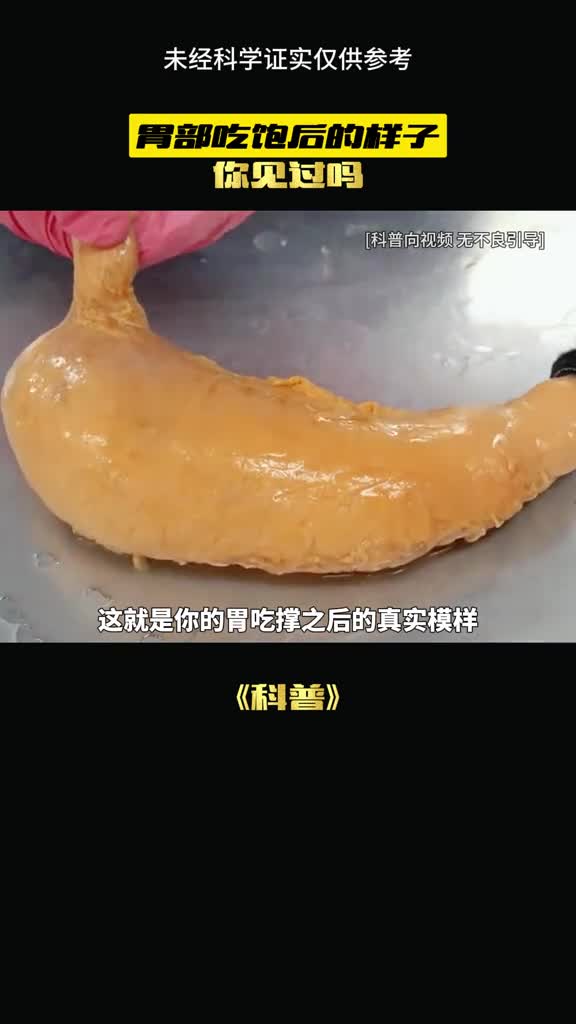 真实的样子你见过吗