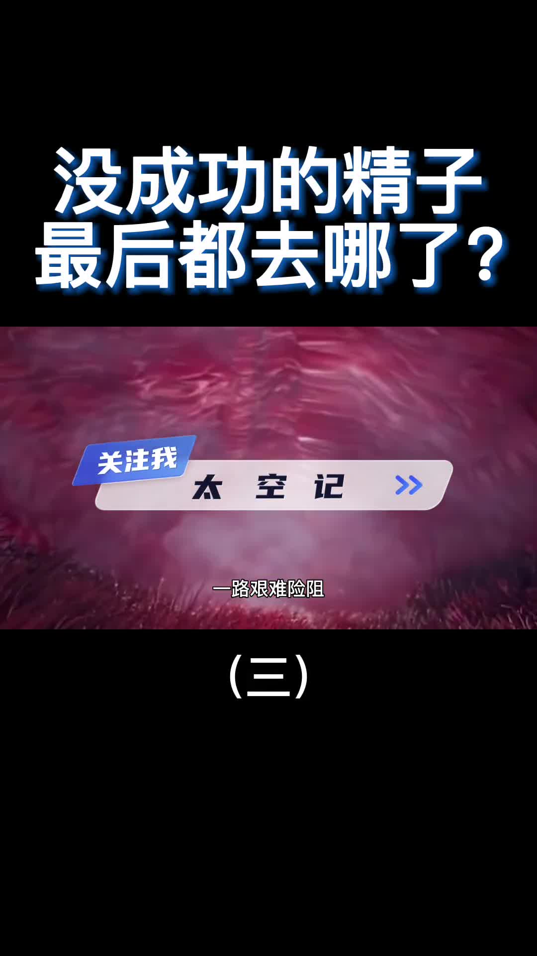 那些没有成功受精的精子最后都去哪了真是好笑又心疼