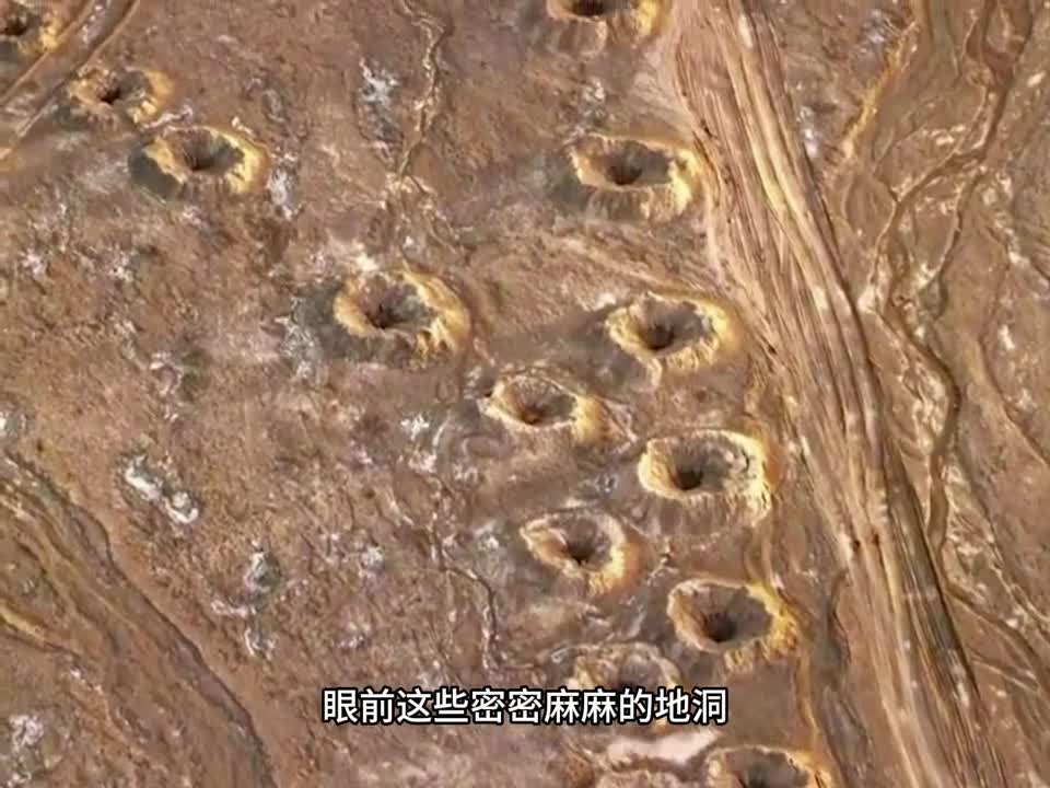 新疆葡萄为何能享誉世界这都要靠它