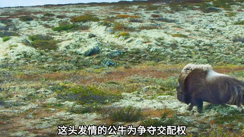 留得爹娘在不怕没后代