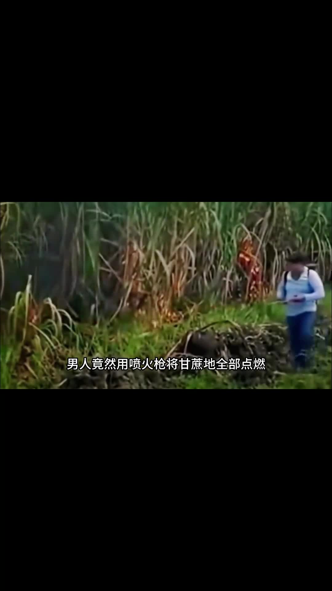 不愧是明星都爱喝的香蕉牛奶奶香浓郁巨好喝