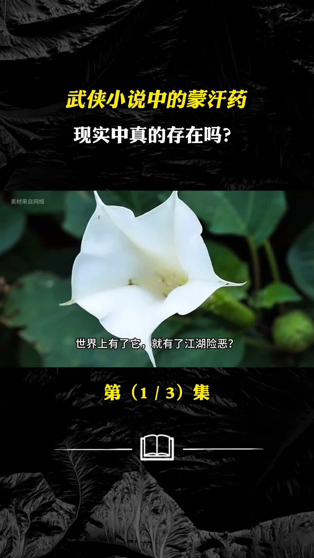 武侠小说中的蒙汗药现实中真的存在吗