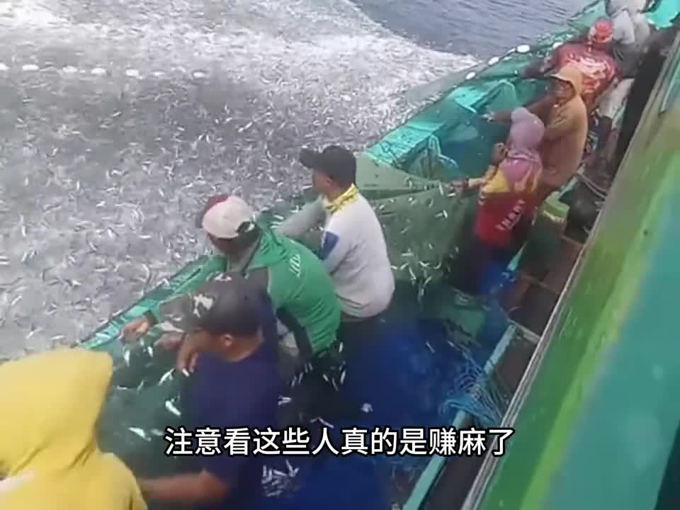 你吃的小鱼仔是如何加工的