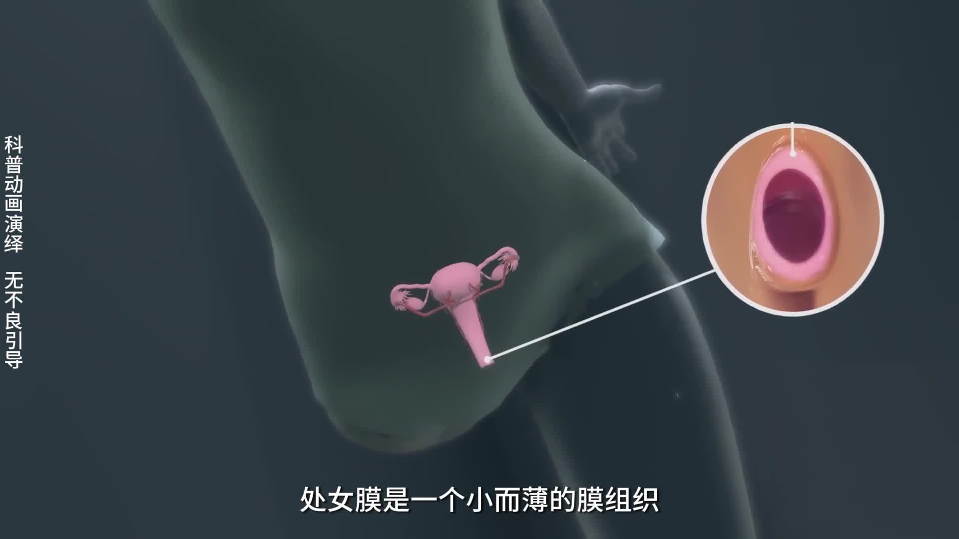 处女膜只是一个小而薄的膜组织很多人对它都有误解