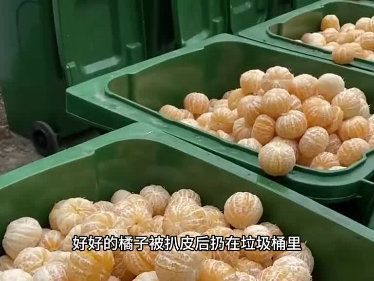 广东好宝藏老一辈的传统智慧陈皮橄榄三宝扎