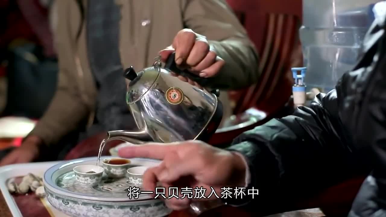 这样的贝壳你吃过吗