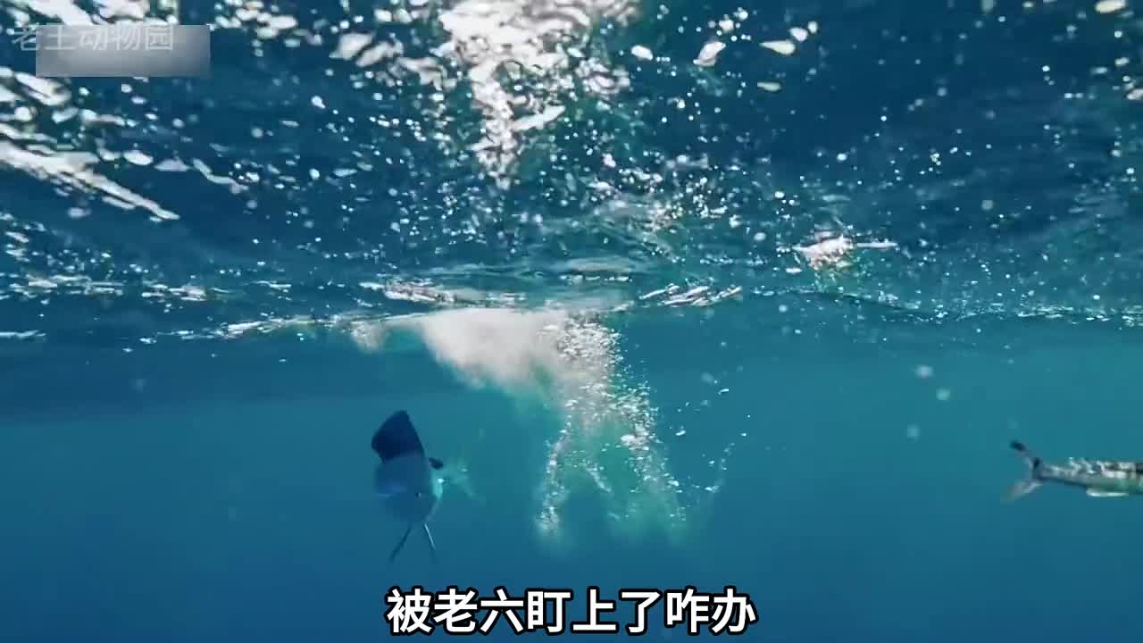 感谢大自然的馈赠