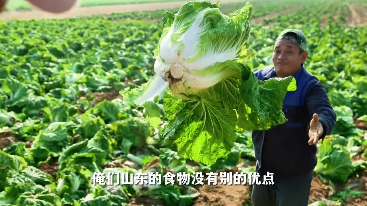 俺们山东的食物没有别的优点就是新鲜个大量实在