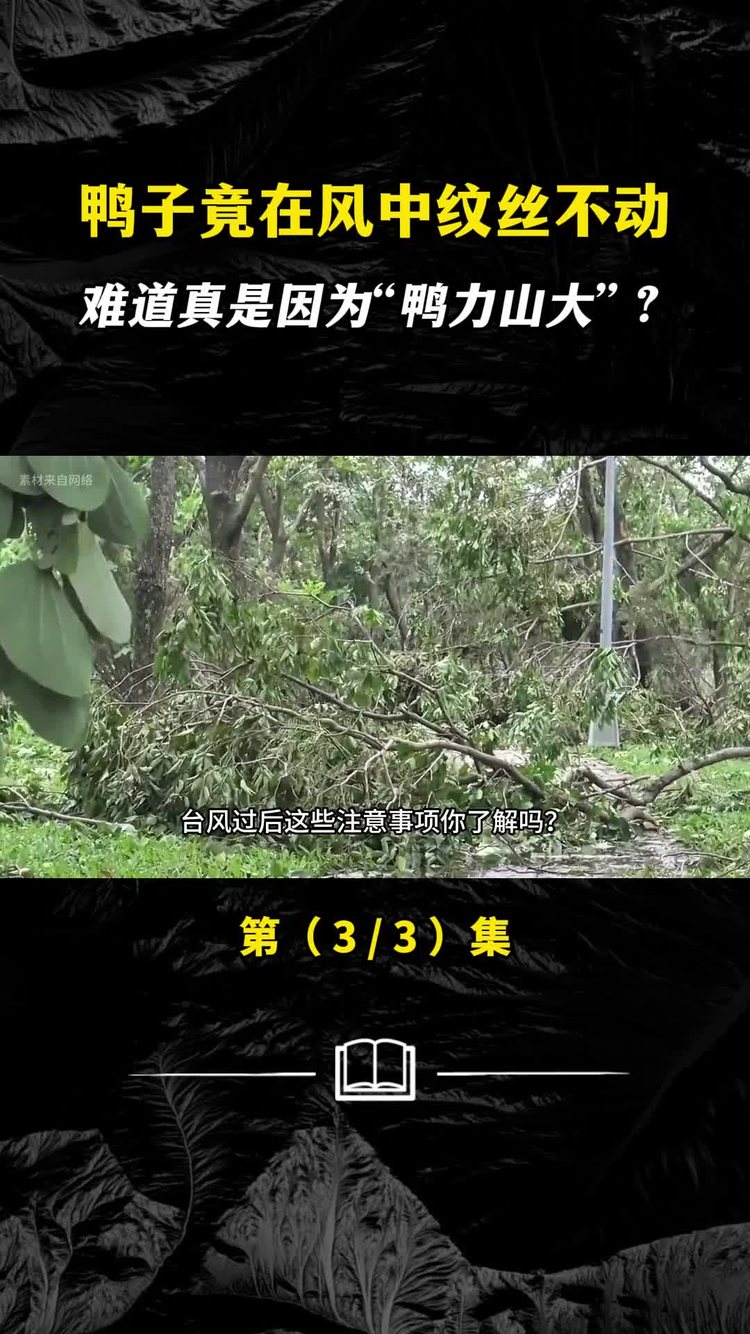 鸭子竟在风中纹丝不动难道真是因为鸭力山大7
