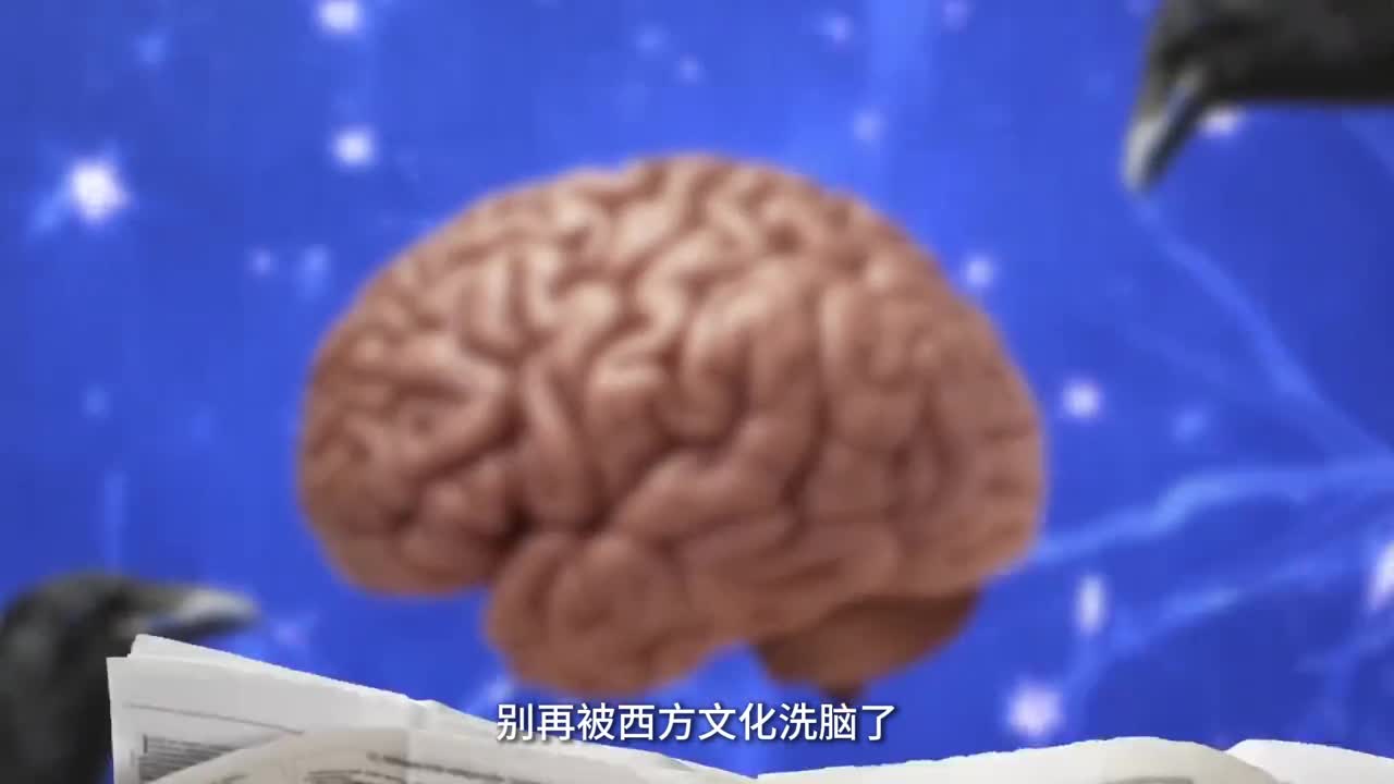 别再被西方文化洗脑了带你看乌鸦的另一面
