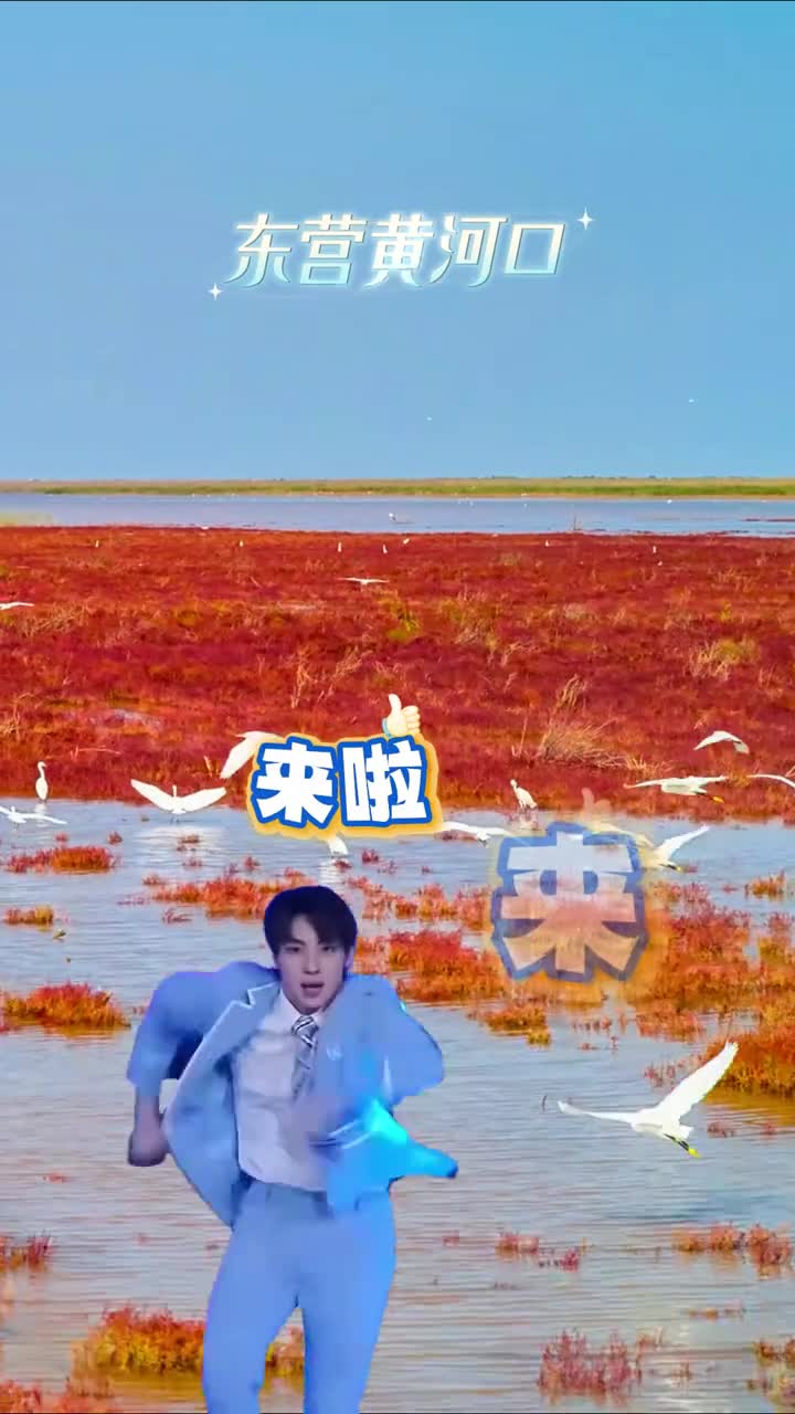 听鲁鲁一句劝过年就和