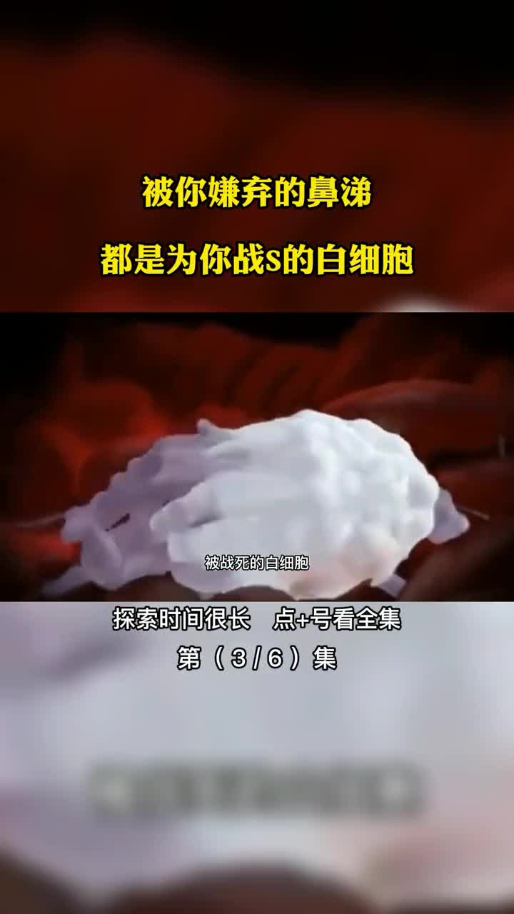 人体细胞战争被你嫌弃的鼻涕都是为你战S的白细胞第36集