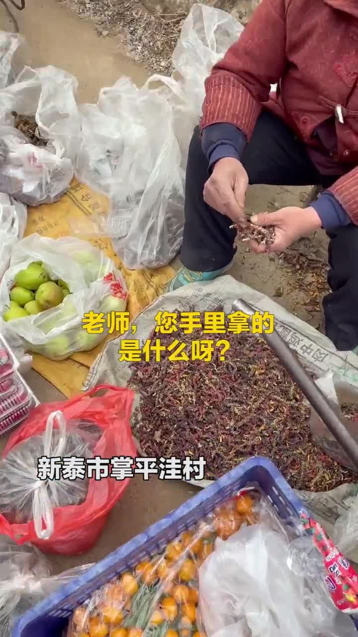 大妈在乡村路边摆摊卖的无事忙你吃过吗