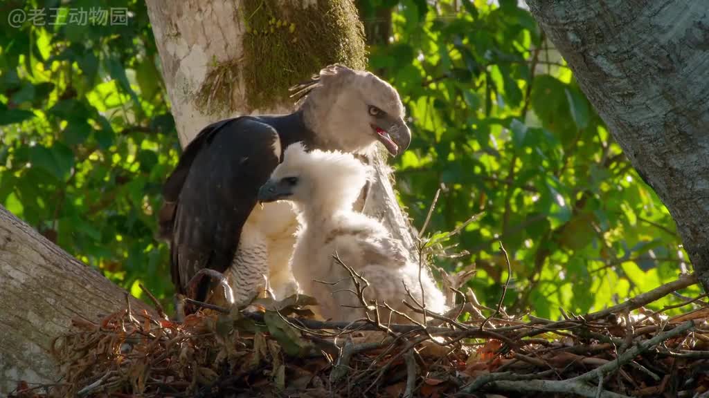 回去再沉淀沉淀吧