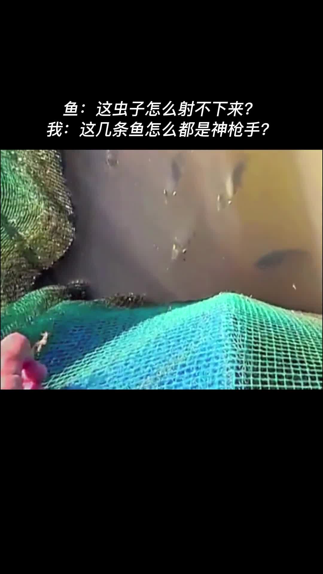 虫子你们礼貌吗