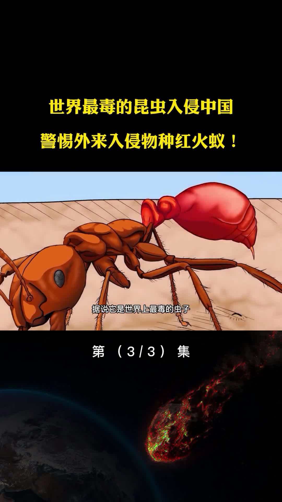 最毒昆虫入侵中国曾造成美国75亿损失警惕外来物种红火蚁