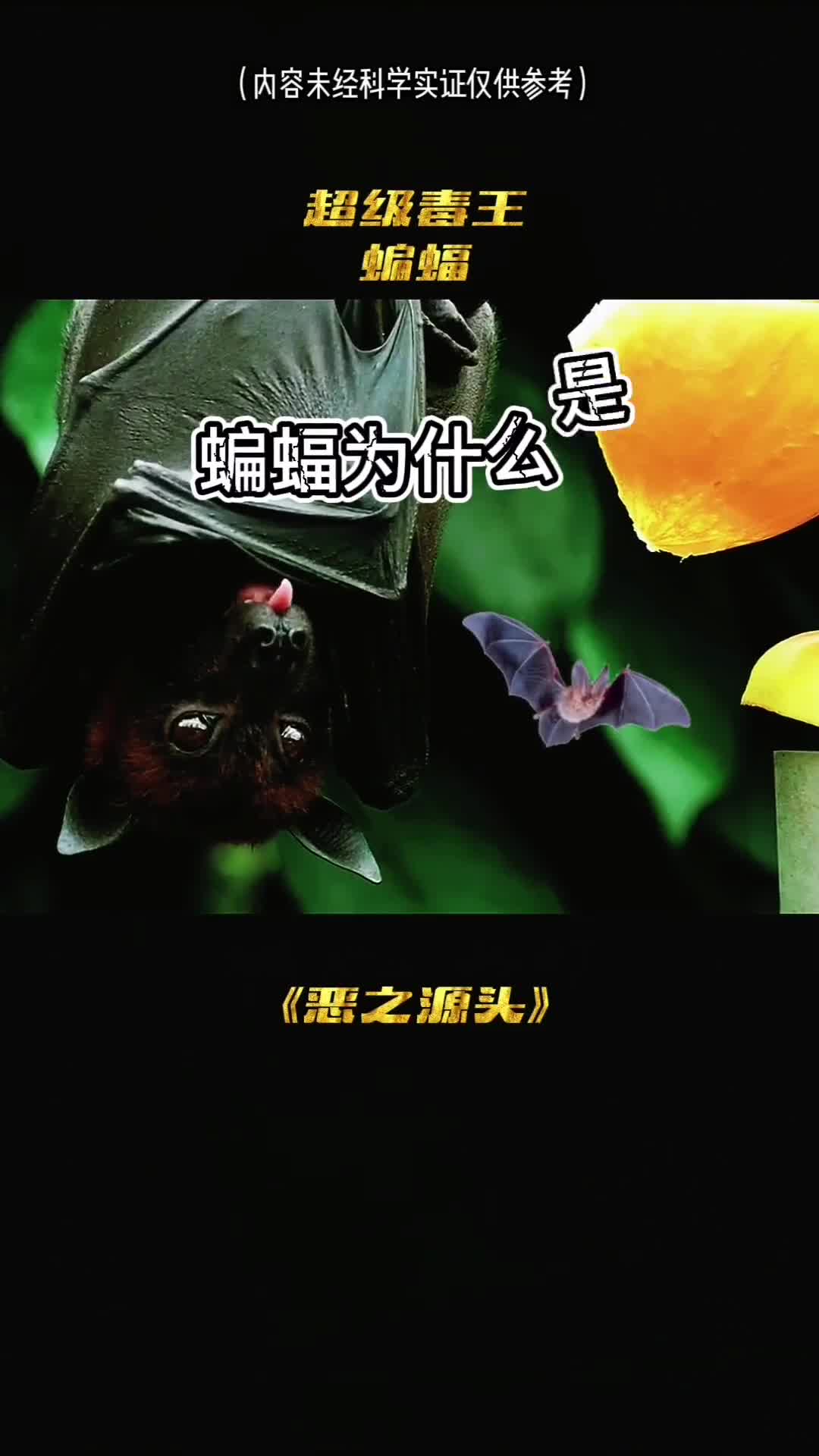 蝙蝠为什么是超级病毒体呢
