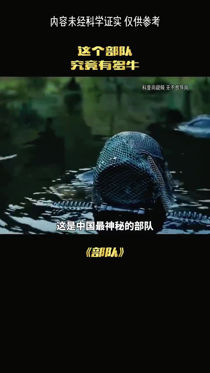 神秘部队暗示着什么